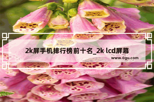 2k屏手机排行榜前十名_2k lcd屏幕手机推荐