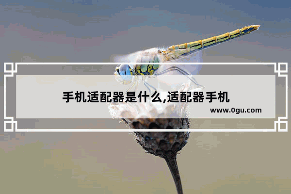 手机适配器是什么,适配器手机