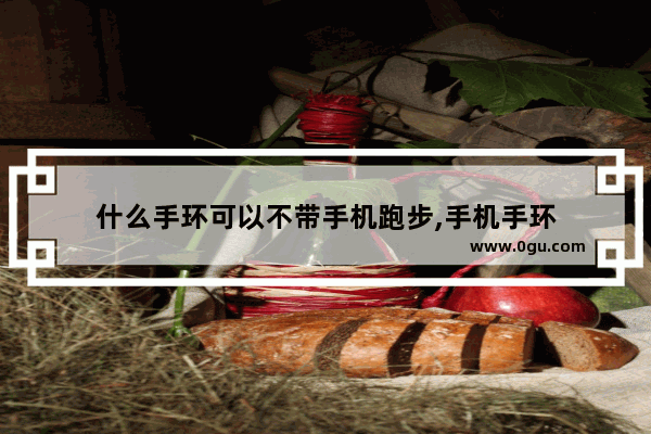 什么手环可以不带手机跑步,手机手环