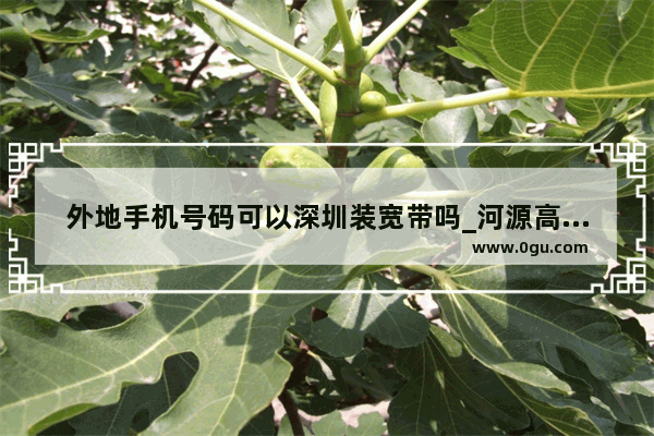 外地手机号码可以深圳装宽带吗_河源高新区哪个做手机的厂比较好