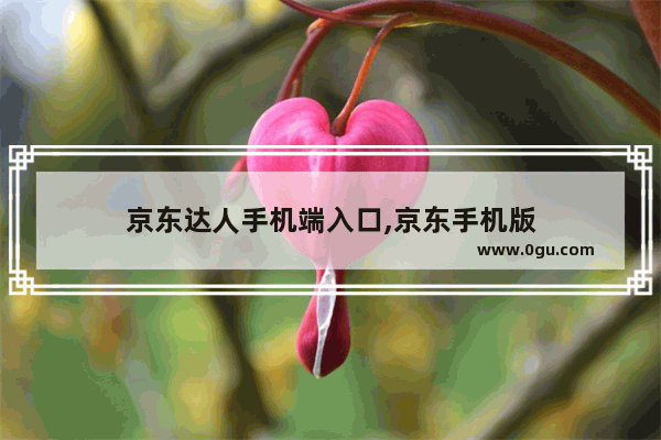 京东达人手机端入口,京东手机版