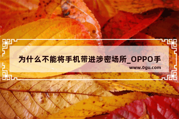 为什么不能将手机带进涉密场所_OPPO手机如何设置重要通知