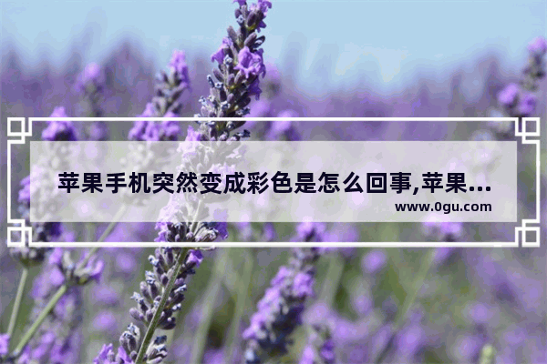苹果手机突然变成彩色是怎么回事,苹果手机屏幕出现