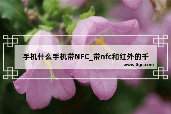 手机什么手机带NFC_带nfc和红外的千元5g手机