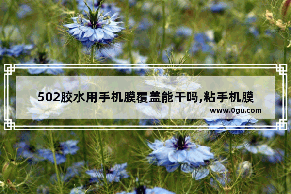 502胶水用手机膜覆盖能干吗,粘手机膜