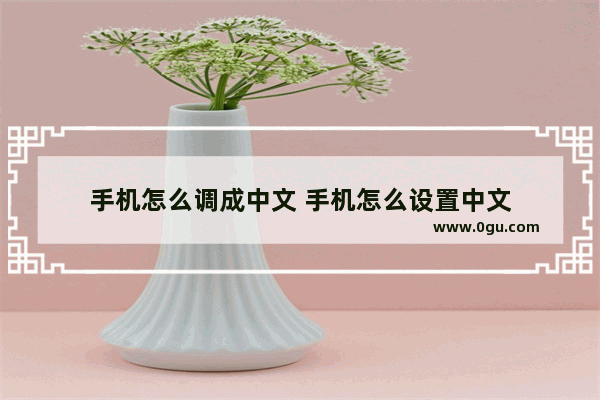 手机怎么调成中文 手机怎么设置中文