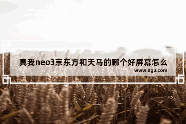 真我neo3京东方和天马的哪个好屏幕怎么看 最好屏幕的手机