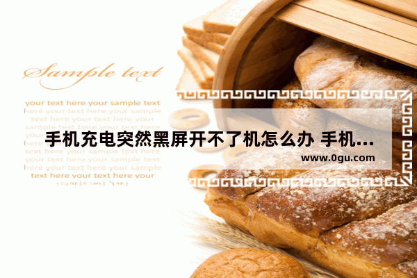 手机充电突然黑屏开不了机怎么办 手机充电黑屏