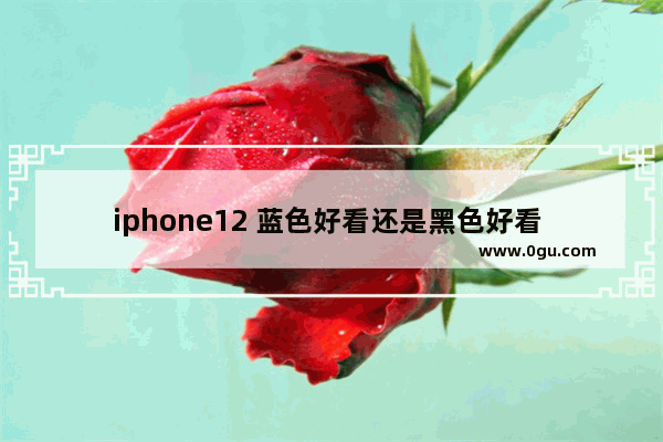 iphone12 蓝色好看还是黑色好看 苹果手机哪款好