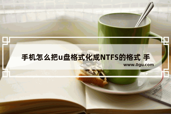 手机怎么把u盘格式化成NTFS的格式 手机u盘格式