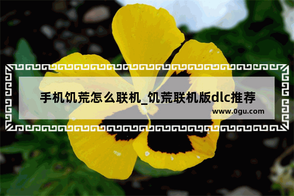 手机饥荒怎么联机_饥荒联机版dlc推荐
