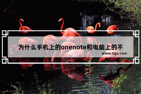 为什么手机上的onenote和电脑上的不一样,onenote手机