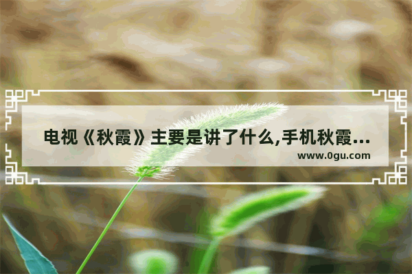 电视《秋霞》主要是讲了什么,手机秋霞电影