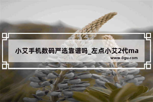 小艾手机数码严选靠谱吗_左点小艾2代max怎么连接手机