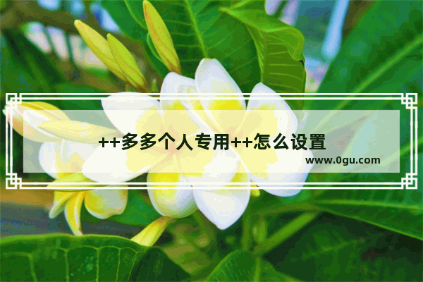 ++多多个人专用++怎么设置