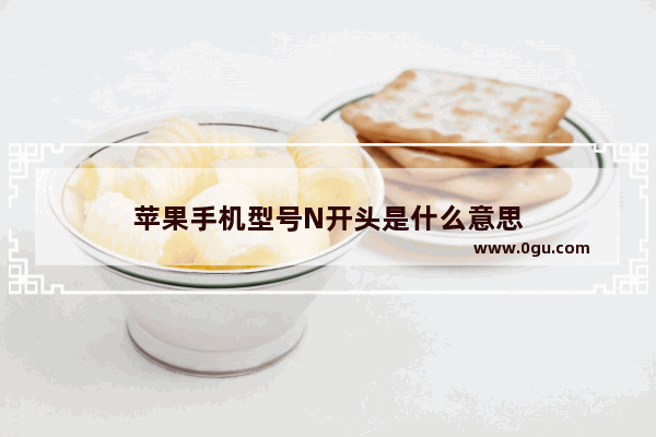苹果手机型号N开头是什么意思