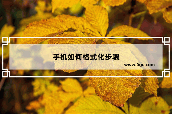 手机如何格式化步骤