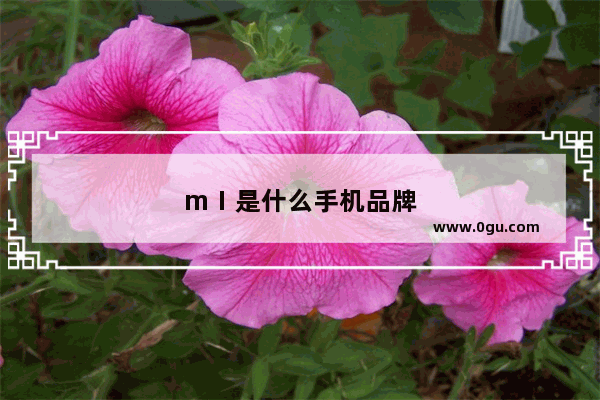 mⅠ是什么手机品牌