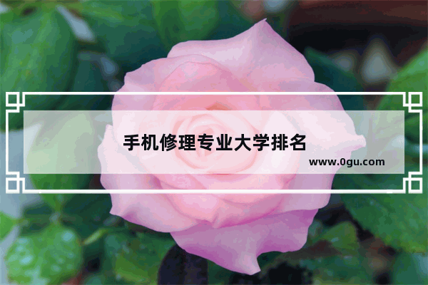 手机修理专业大学排名