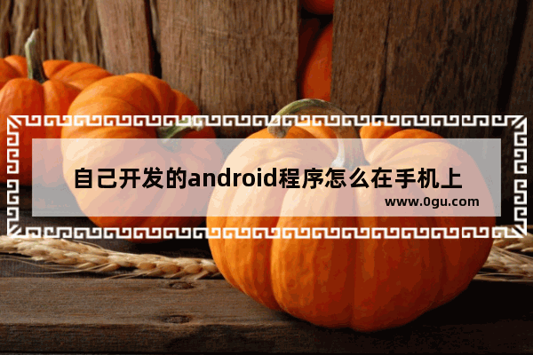 自己开发的android程序怎么在手机上运行