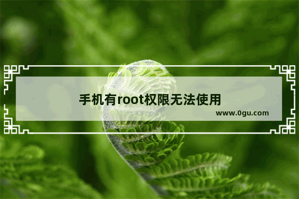 手机有root权限无法使用
