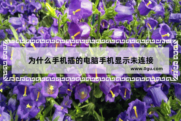 为什么手机插的电脑手机显示未连接