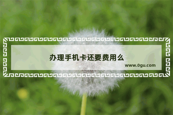 办理手机卡还要费用么