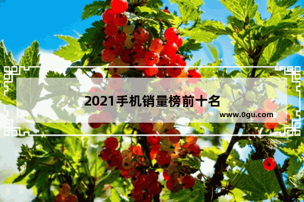 2021手机销量榜前十名
