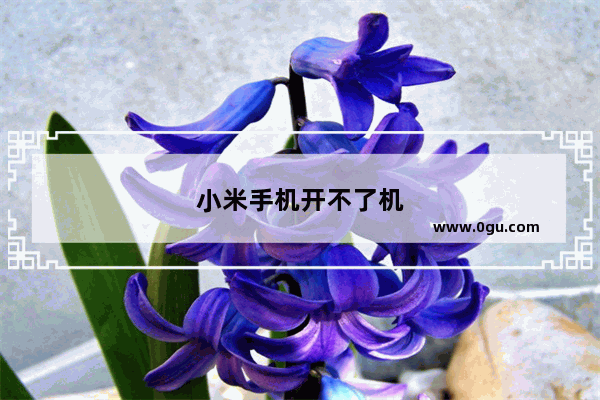 小米手机开不了机