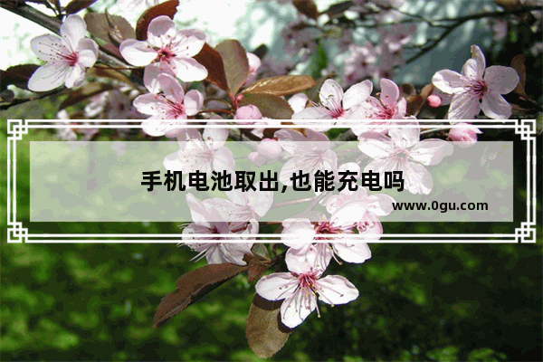 手机电池取出,也能充电吗