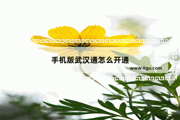 手机版武汉通怎么开通