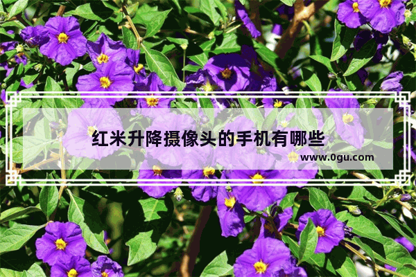 红米升降摄像头的手机有哪些