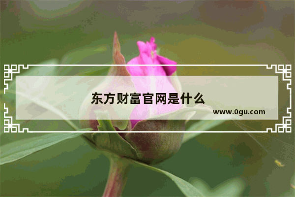 东方财富官网是什么