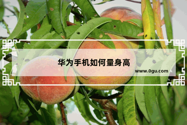 华为手机如何量身高