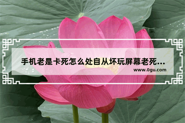 手机老是卡死怎么处自从坏玩屏幕老死机是乍幺门回事理