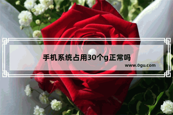 手机系统占用30个g正常吗