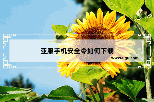 亚服手机安全令如何下载