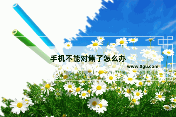 手机不能对焦了怎么办