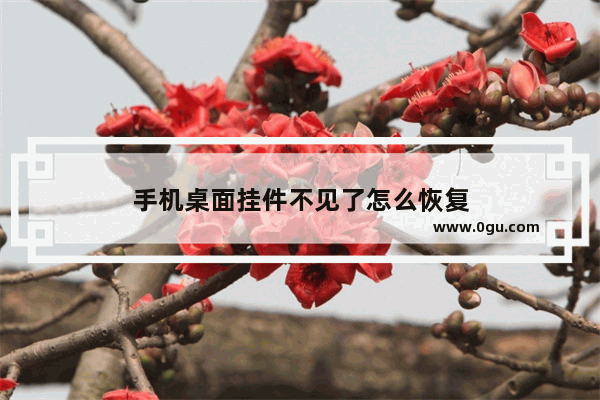 手机桌面挂件不见了怎么恢复