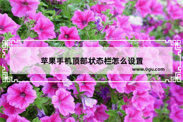 苹果手机顶部状态栏怎么设置