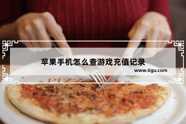 苹果手机怎么查游戏充值记录