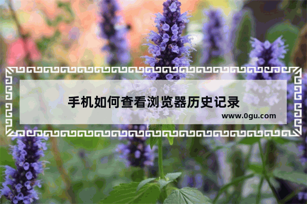 手机如何查看浏览器历史记录