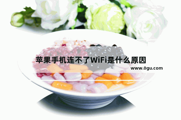 苹果手机连不了WiFi是什么原因