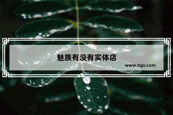 魅族有没有实体店