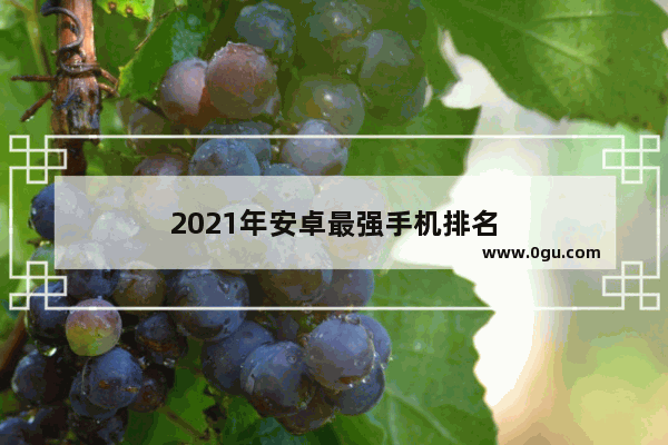 2021年安卓最强手机排名