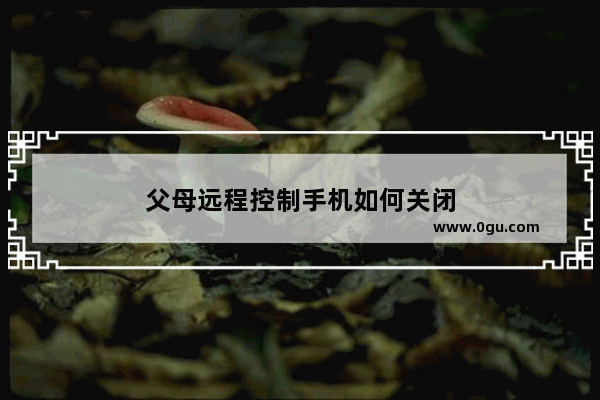 父母远程控制手机如何关闭