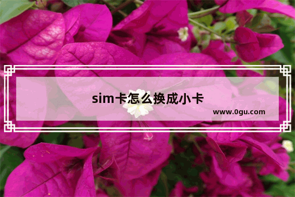 sim卡怎么换成小卡