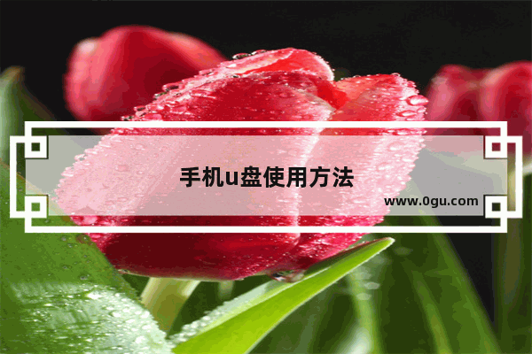 手机u盘使用方法