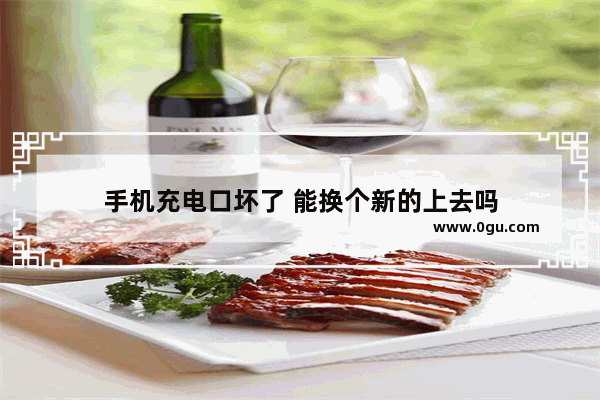 手机充电口坏了 能换个新的上去吗
