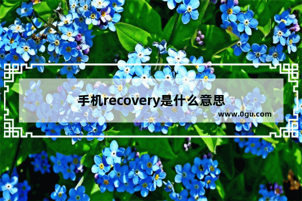 手机recovery是什么意思